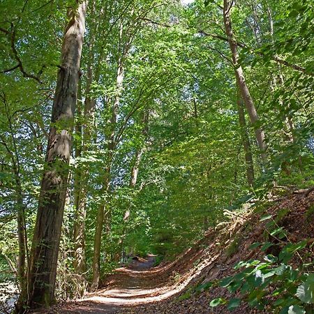 Willa L'Epicentre Sart-lez-Spa Zewnętrze zdjęcie