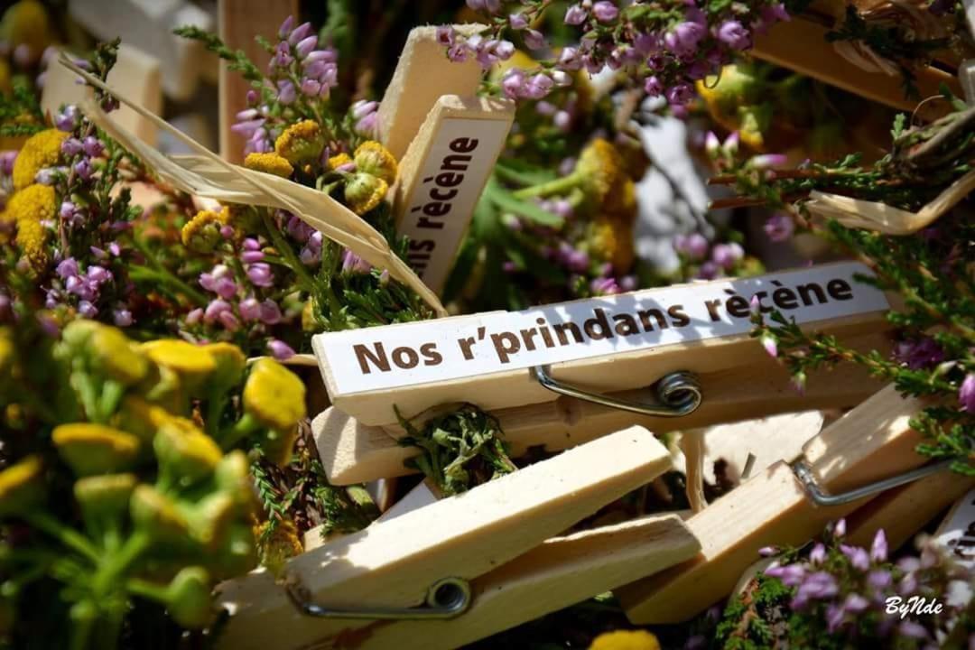 Willa L'Epicentre Sart-lez-Spa Zewnętrze zdjęcie
